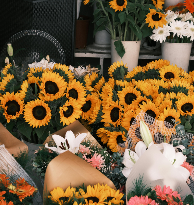 Design sem nome (23)